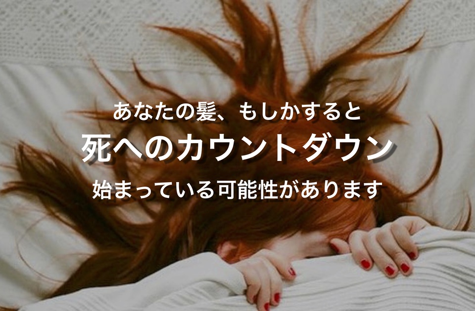 髪 が 濡れてる と 傷む 驚愕の 理由 とは 美容マメ知識 クセ毛 パーマ髪質改善士 フリーランス美容師エンジニア 金枝俊平