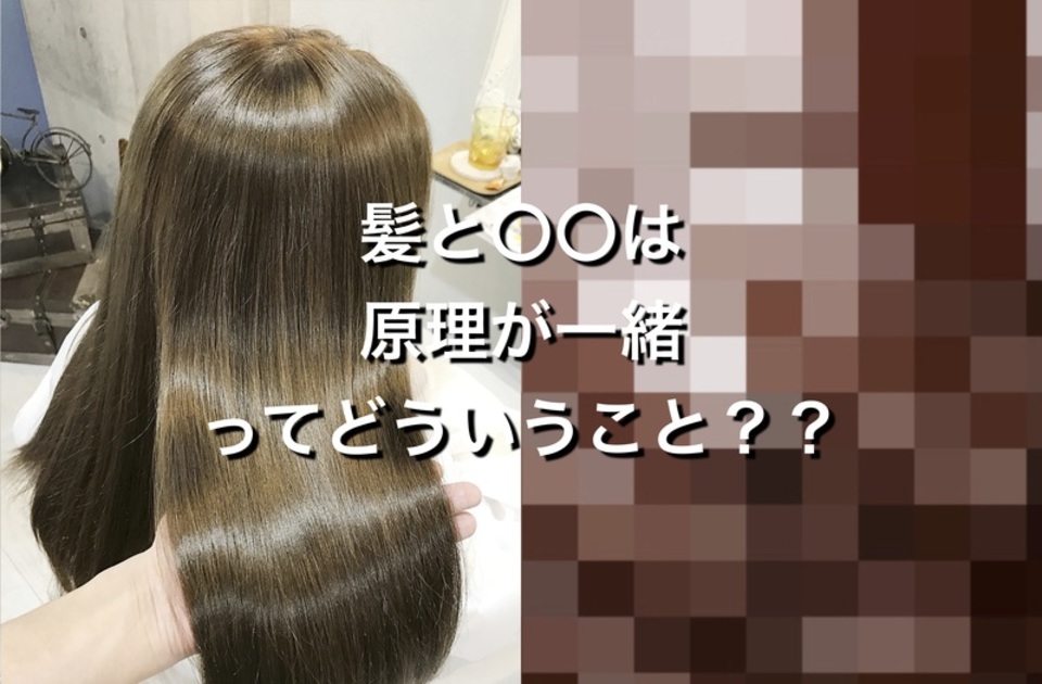 知るだけで スタイリング が 得意 に!? 髪 と 原理 が似ている あるモノ とは?