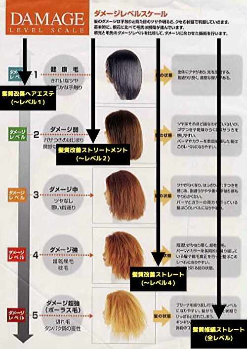 髪質改善レベル別対応表